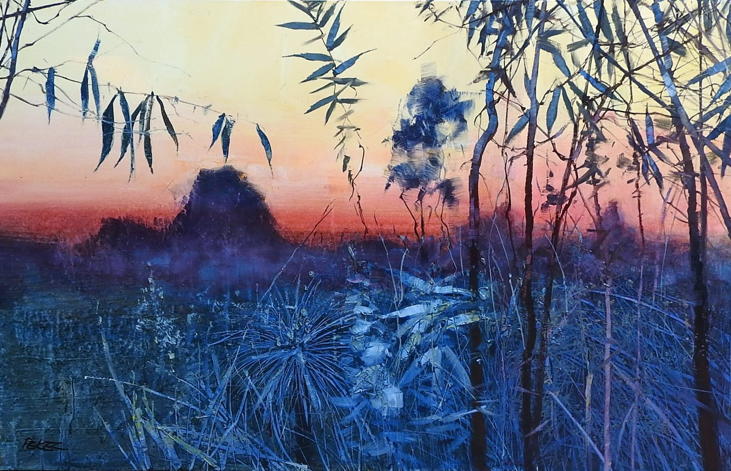 Herman Pekel - Glass House Mountains Sunset