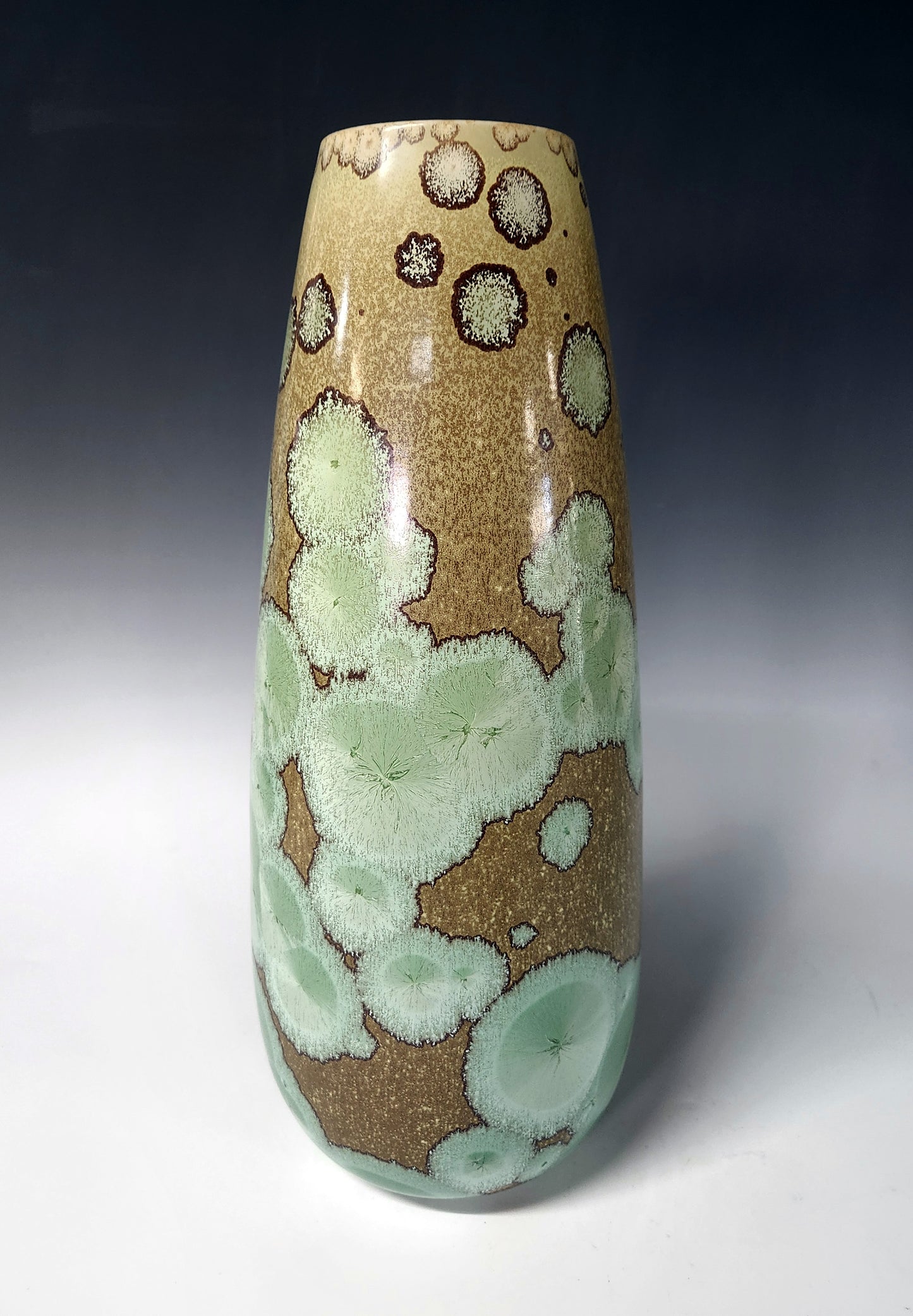 Bill Powell - Lichen Crystal Vase