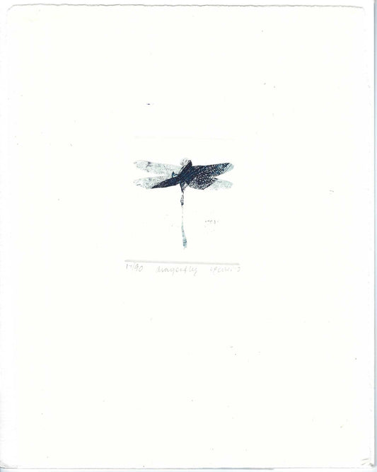 Christine Porter - Dragonfly