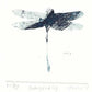 Christine Porter - Dragonfly
