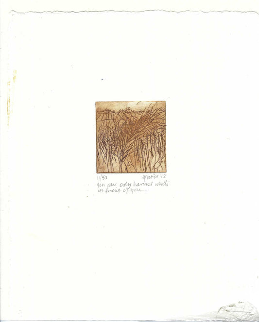 Christine Porter - You can only harvest what's in front of you