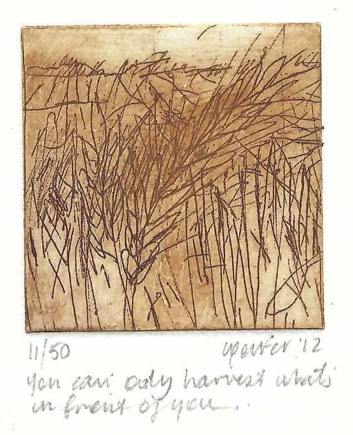 Christine Porter - You can only harvest what's in front of you