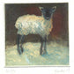 Christine Porter - Lamb