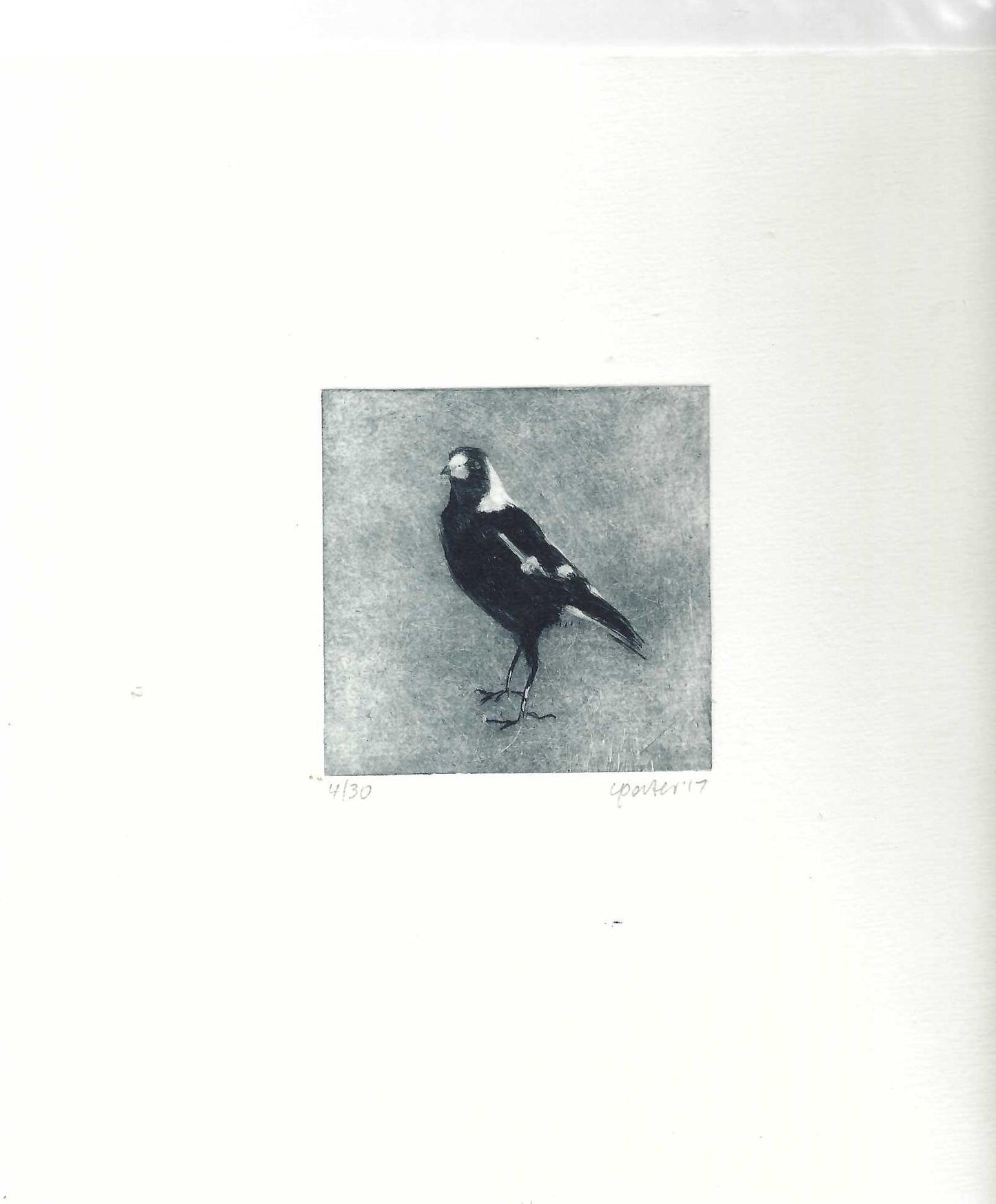 Christine Porter - Magpie II