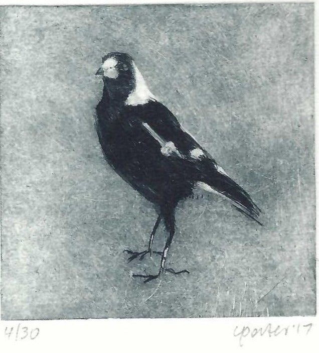 Christine Porter - Magpie II