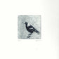 Christine Porter - Magpie 111