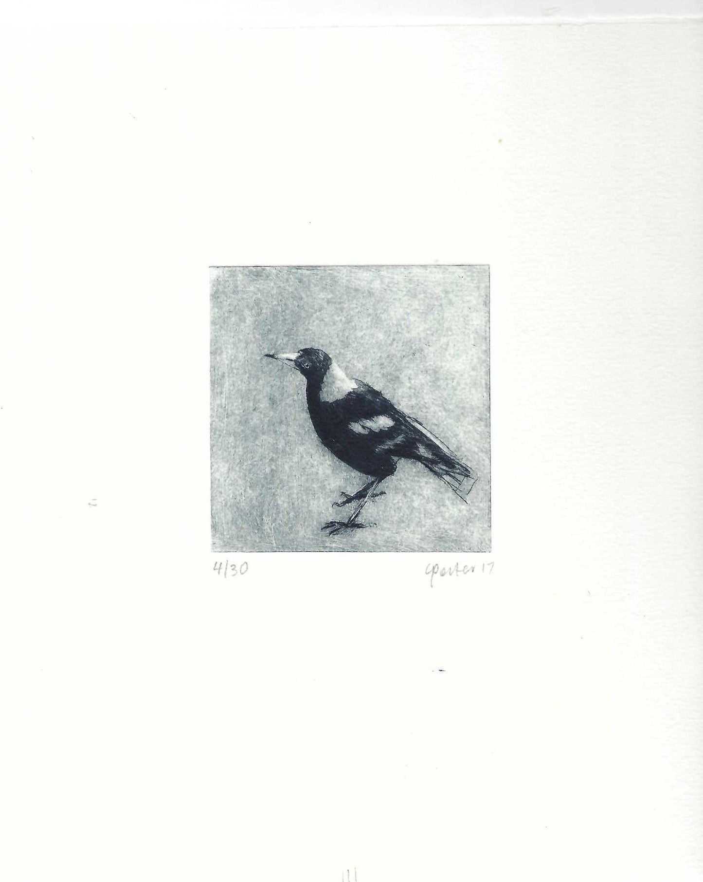 Christine Porter - Magpie 111
