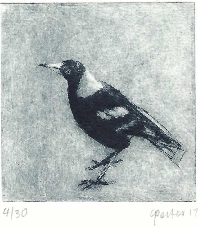 Christine Porter - Magpie 111