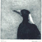 Christine Porter - Magpie V
