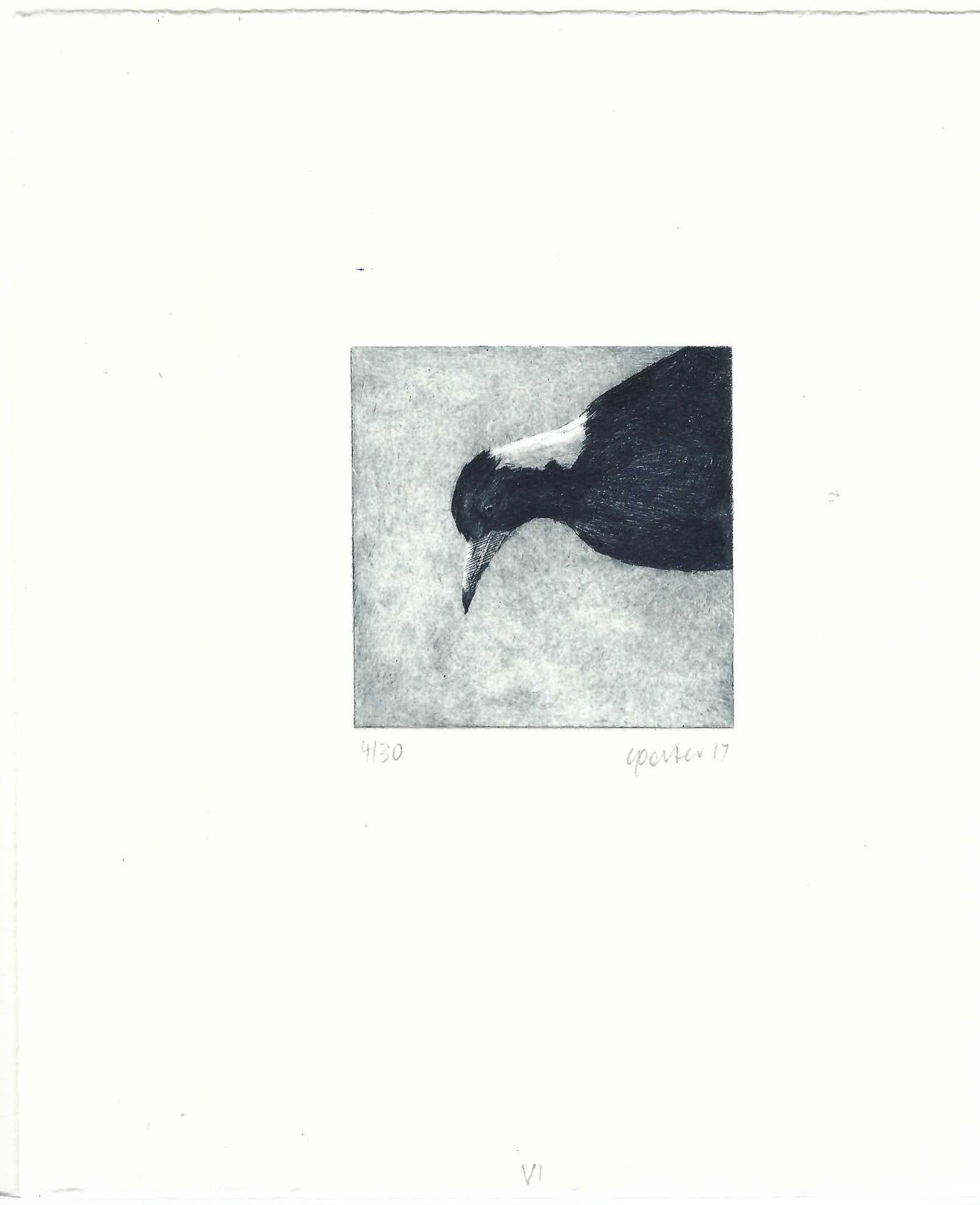 Christine Porter - Magpie VI