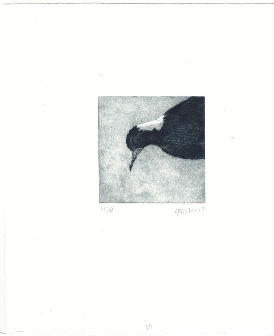 Christine Porter - Magpie VI