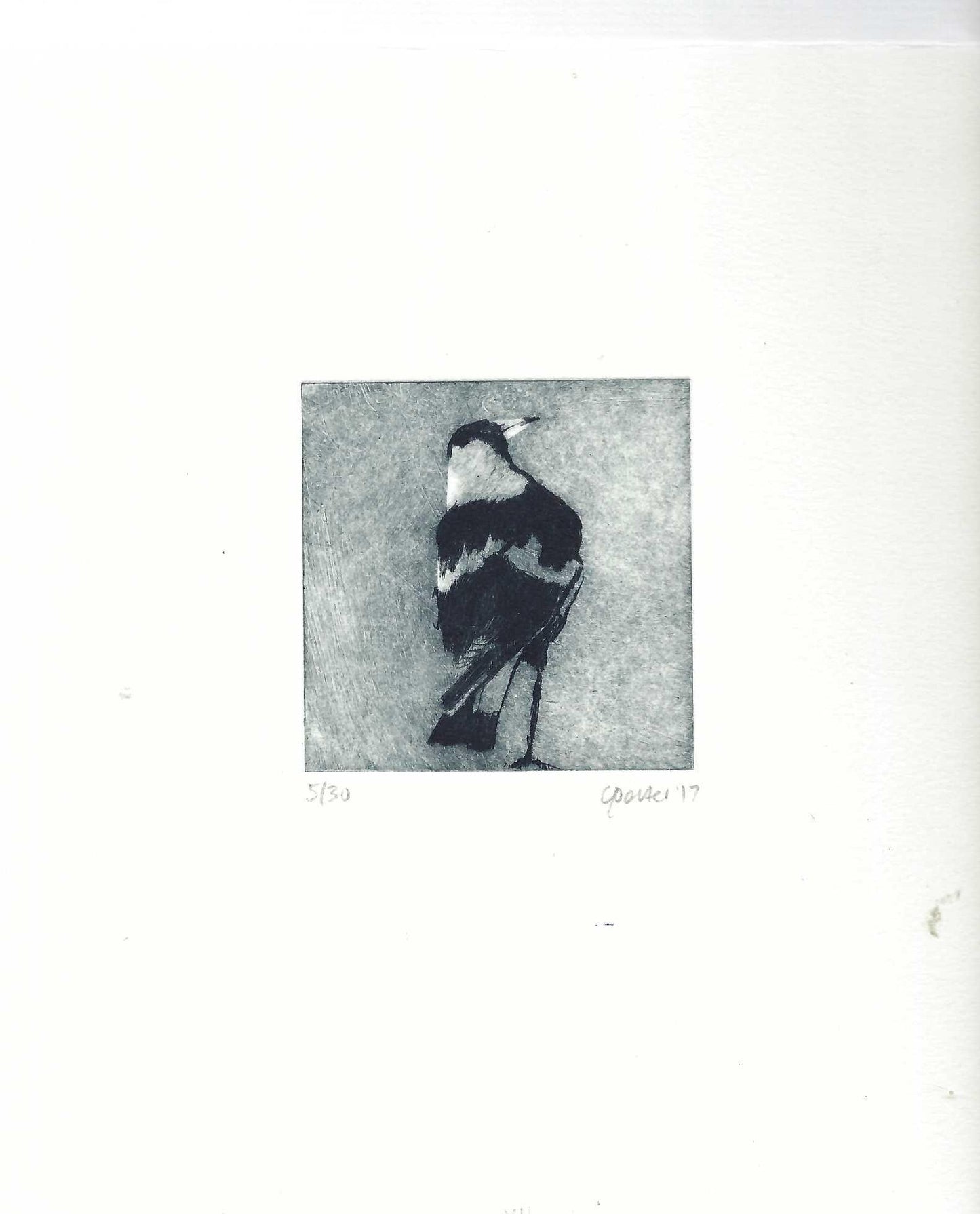 Christine Porter - Magpie V11