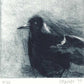 Christine Porter - Magpie XII