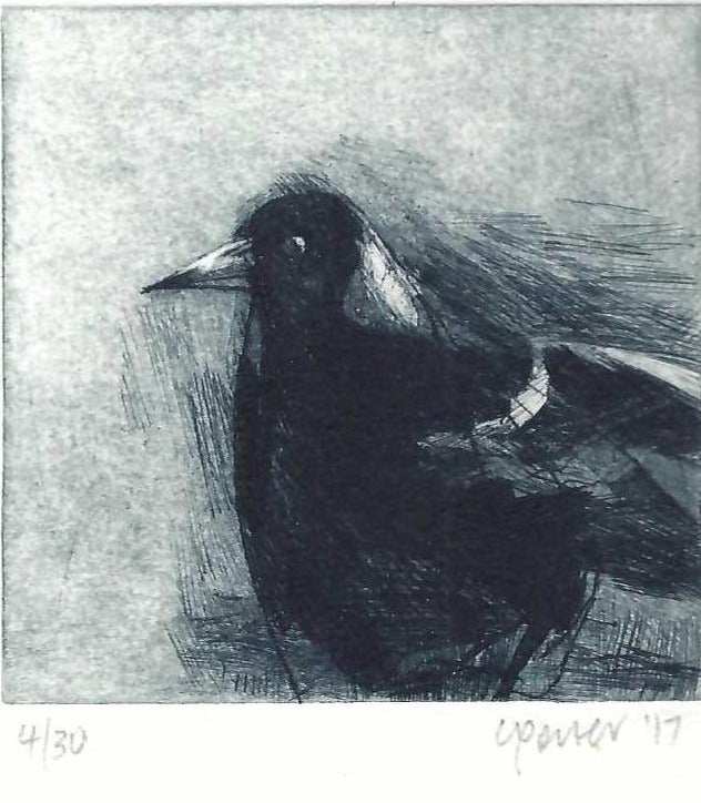 Christine Porter - Magpie XII