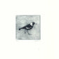 Christine Porter - Magpie XIV