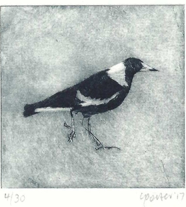 Christine Porter - Magpie XIV