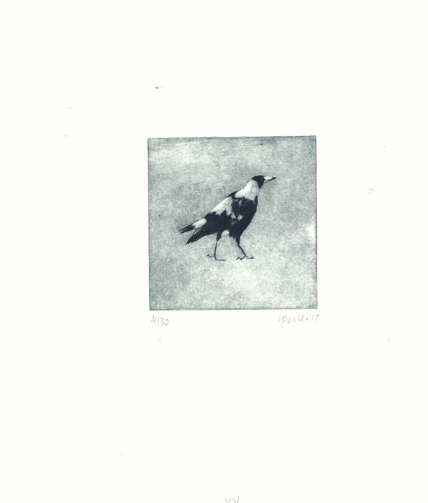 Christine Porter - Magpie XV