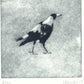 Christine Porter - Magpie XV