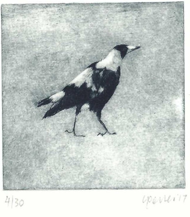 Christine Porter - Magpie XV