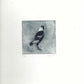 Christine Porter - Magpie XVI