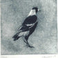 Christine Porter - Magpie XVI