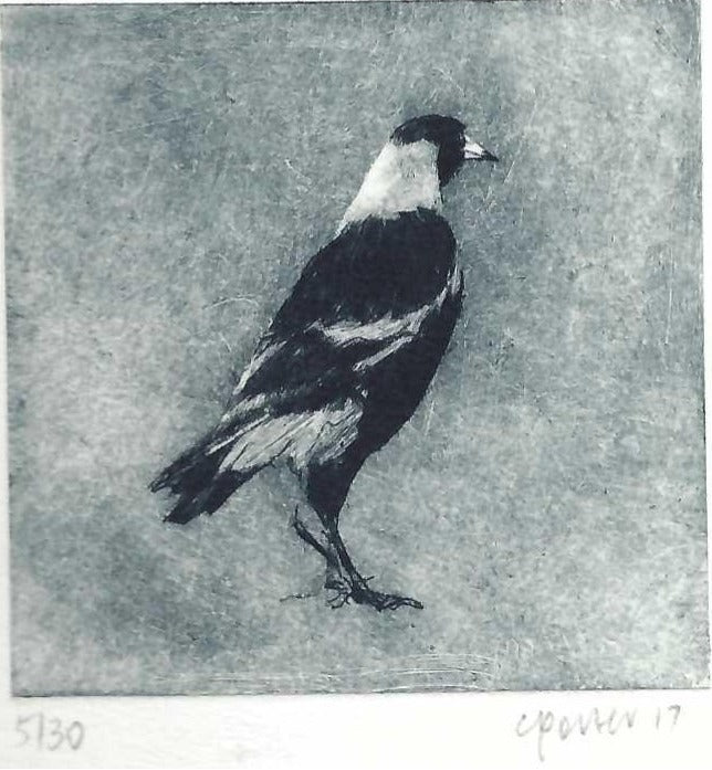 Christine Porter - Magpie XVI