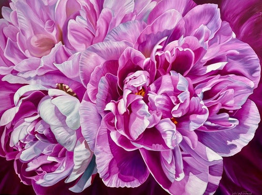 Julie Whitehead - Peony Rapture