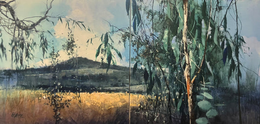 Herman Pekel - Towards Toowoomba