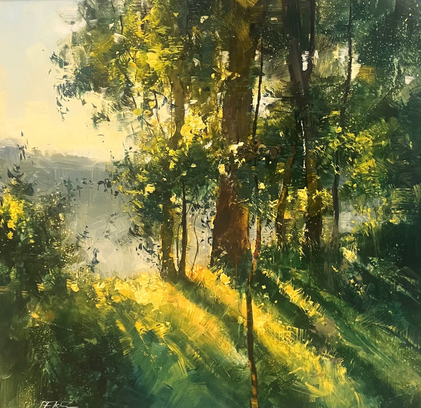Herman Pekel - Last Light Woodford I