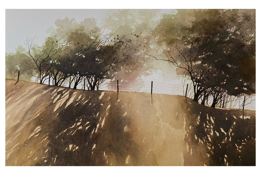 Bruce Buchanan - Afternoon Light