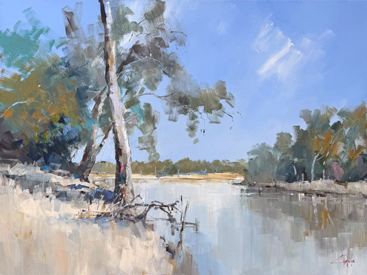 Craig Penny - Broken Limb, The Murray
