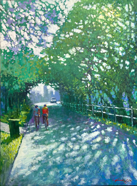 David Hinchliffe - Early Morning Cycle Birdwood Tce, Auchenflower