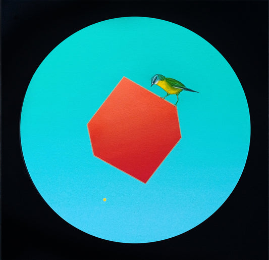 Dean Reilly - Illusion of Lightness - Eastern Yellow Robin