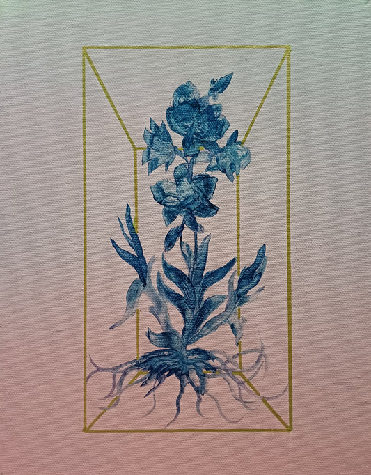 Dean Reilly - Field Notes from a False Paradise 1