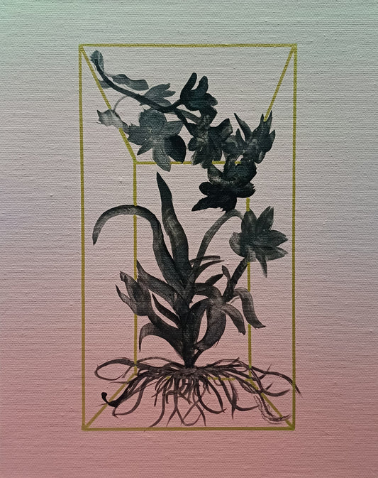 Dean Reilly - Field Notes from a False Paradise 2