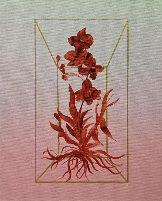 Dean Reilly - Field Notes from a False Paradise 3