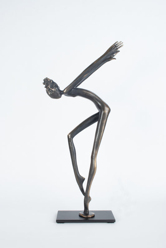 Denise Murray - The Spirit of the Dance