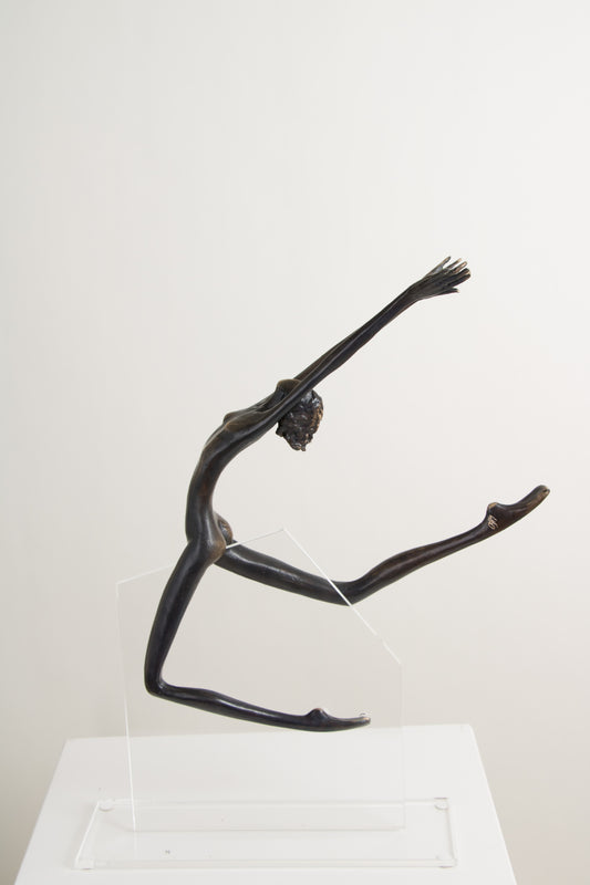 Denise Murray - Aerial Series