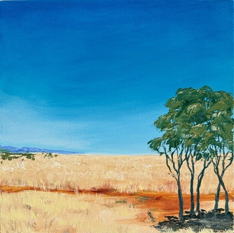 Elizabeth Corfe - Paddock Shade