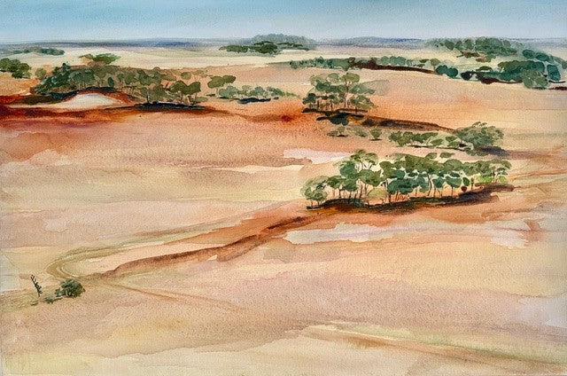 Elizabeth Corfe - The purple haze of Buffel Grass