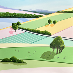 Fiona Chivers - Symphony of Colour