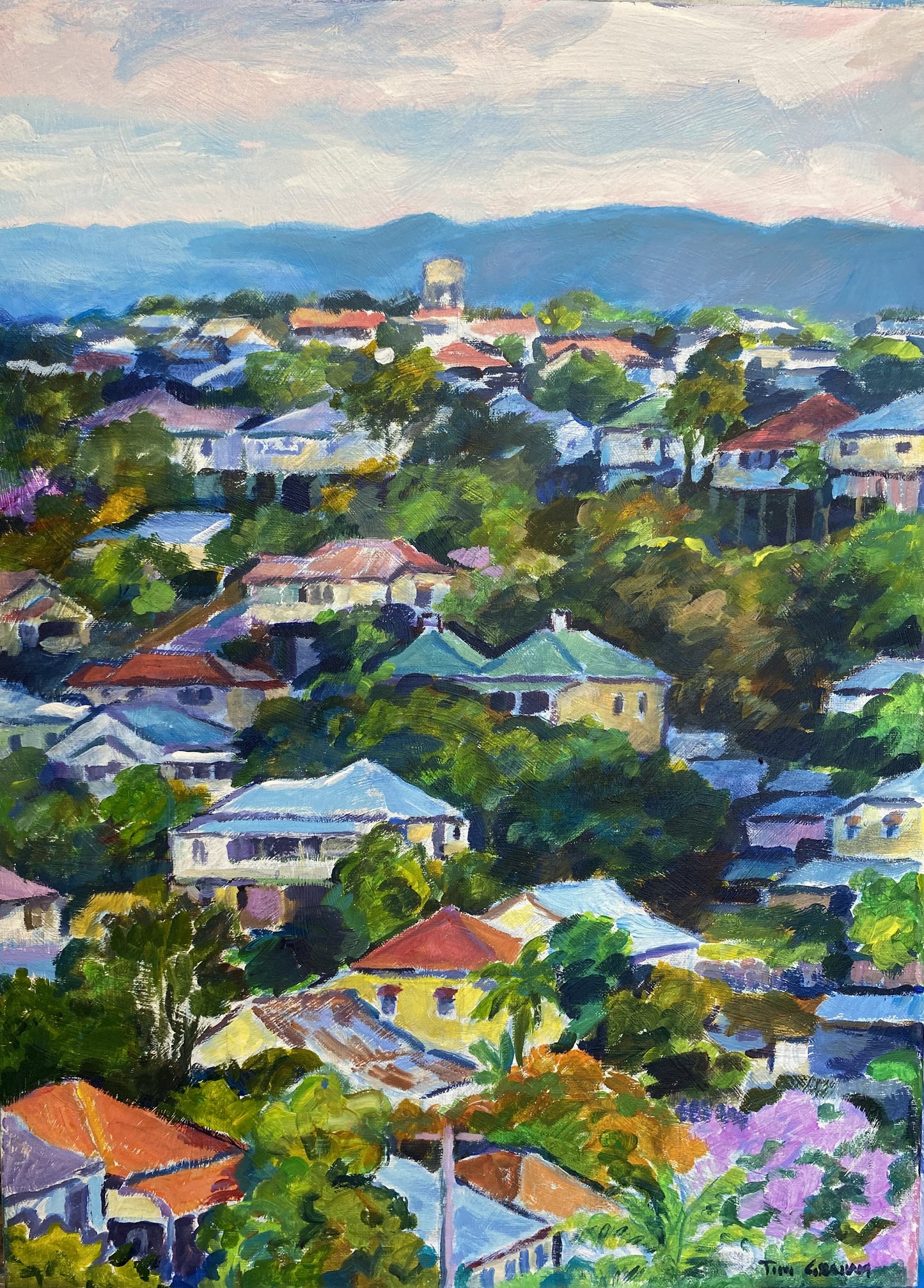 Tim Graham - Red Hill View