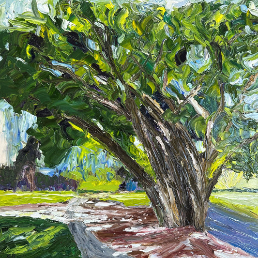 Geraldine Mackenzie - Shades of New Farm