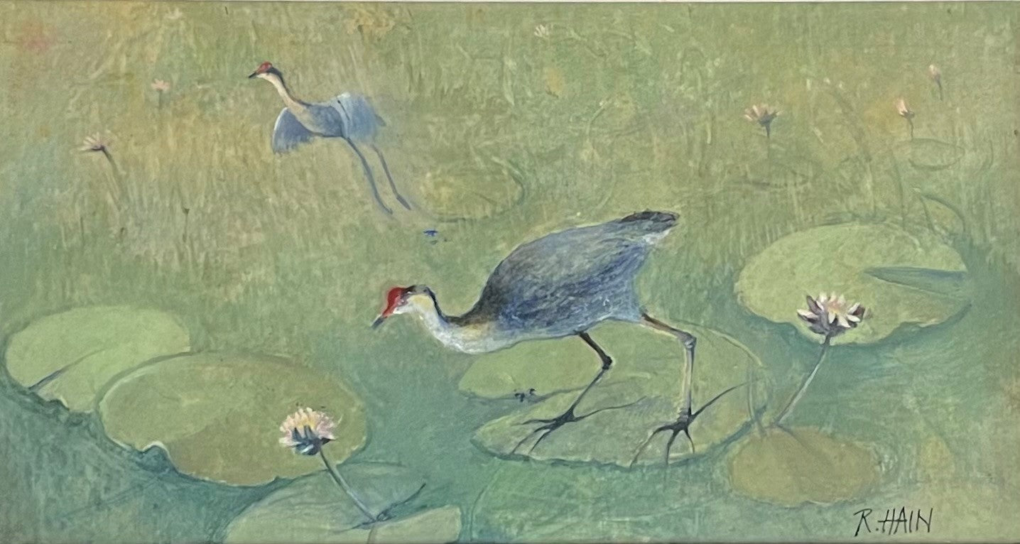 Rosemary Hain - Waterlilies with Swamp Hen