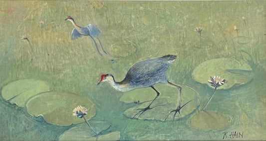 Rosemary Hain - Waterlilies with Swamp Hen