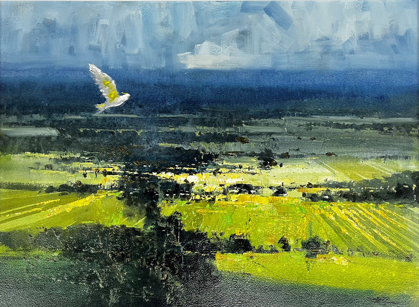 Herman Pekel - Soaring, Toowoomba