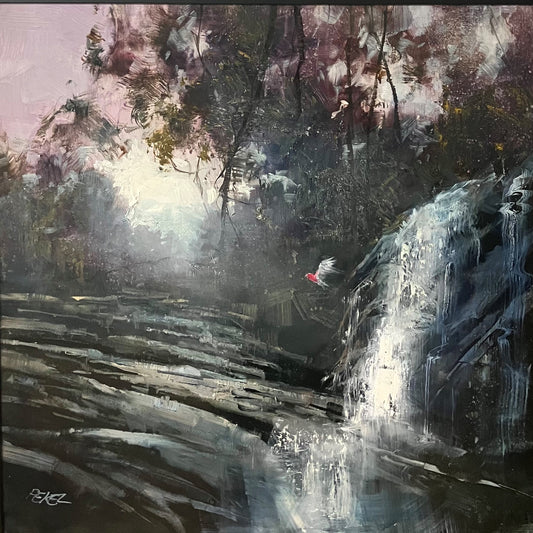 Herman Pekel - Galah and Waterfall, Tamborine