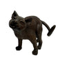 Glenys Lindsay - Cats 1/11
