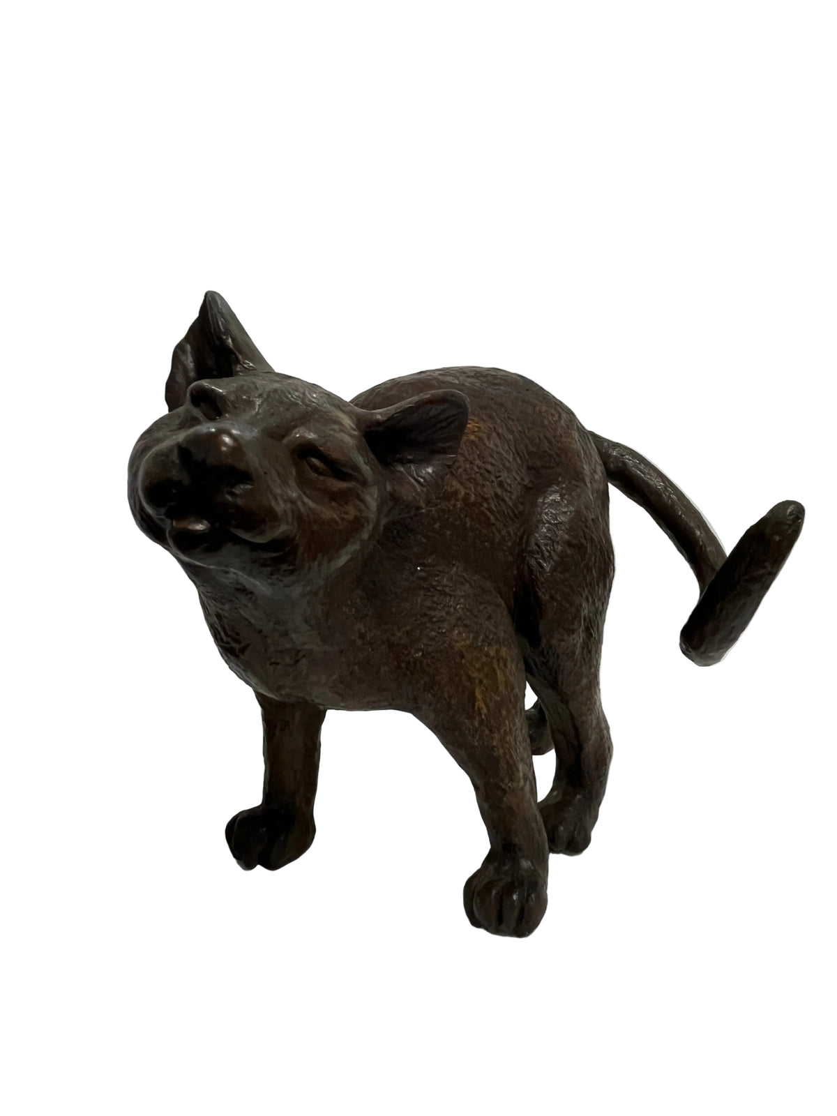 Glenys Lindsay - Cats 1/11