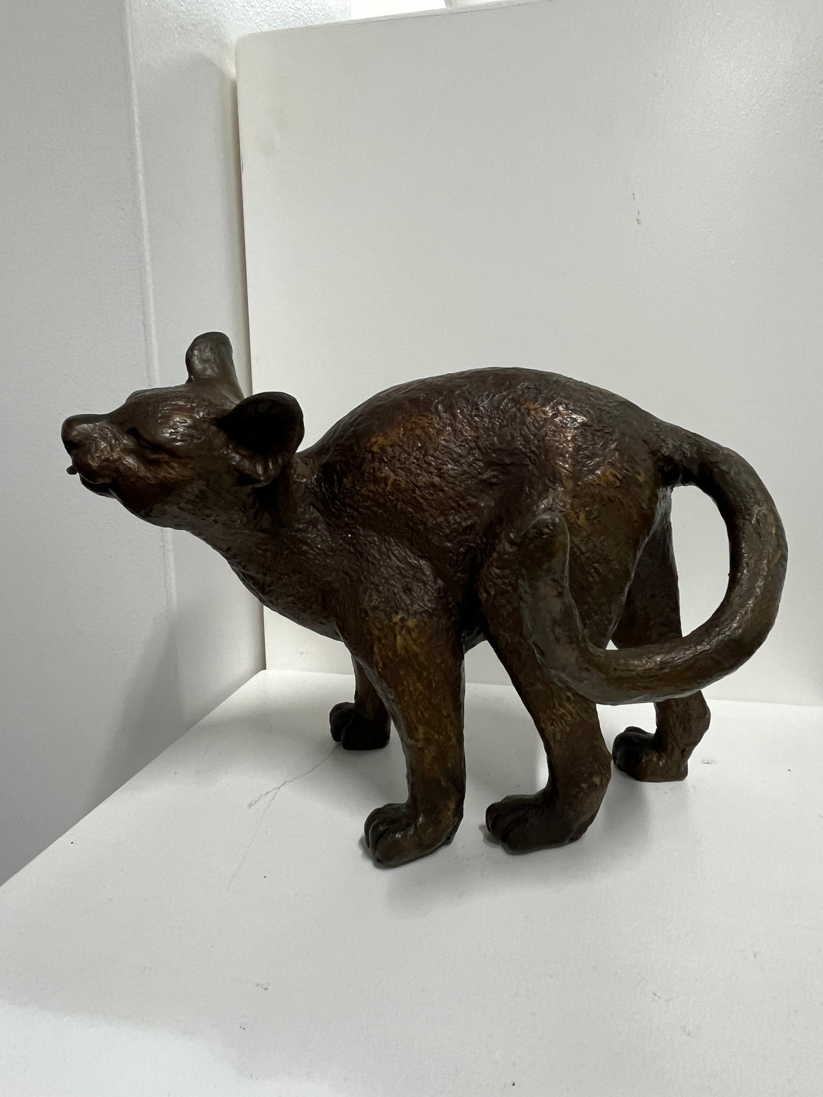 Glenys Lindsay - Cats 1/11